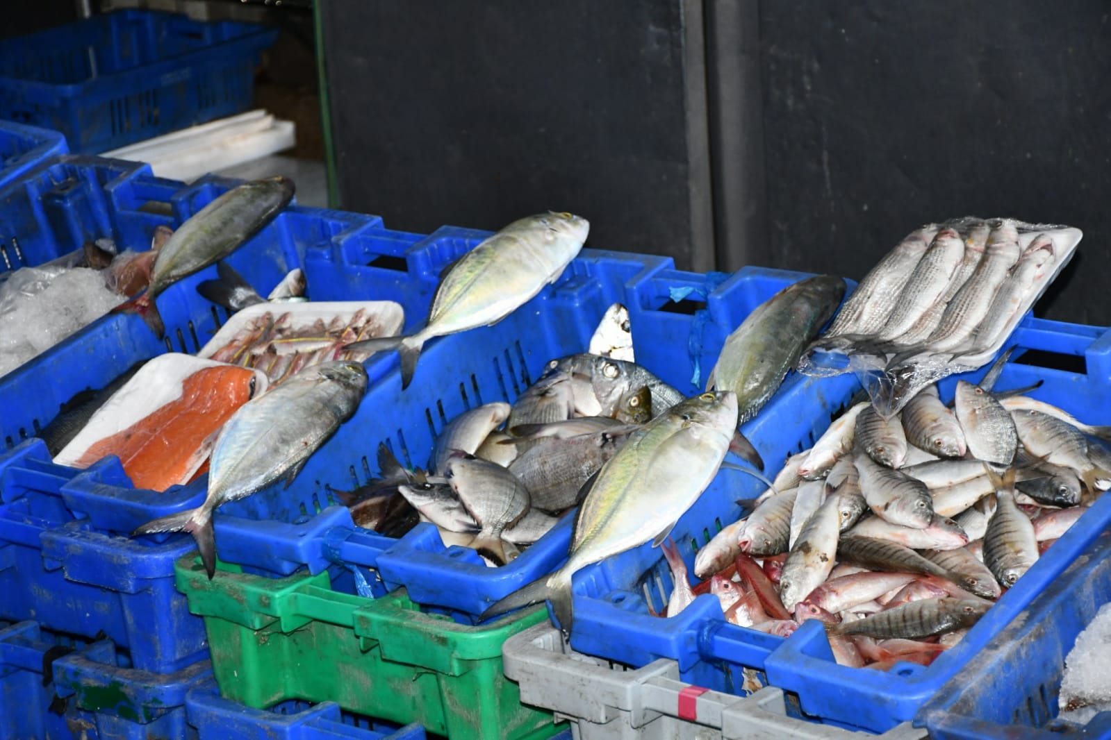 WhatsApp Image 2020-11-23 at 8.41.15 AM.jpeg.jpeg